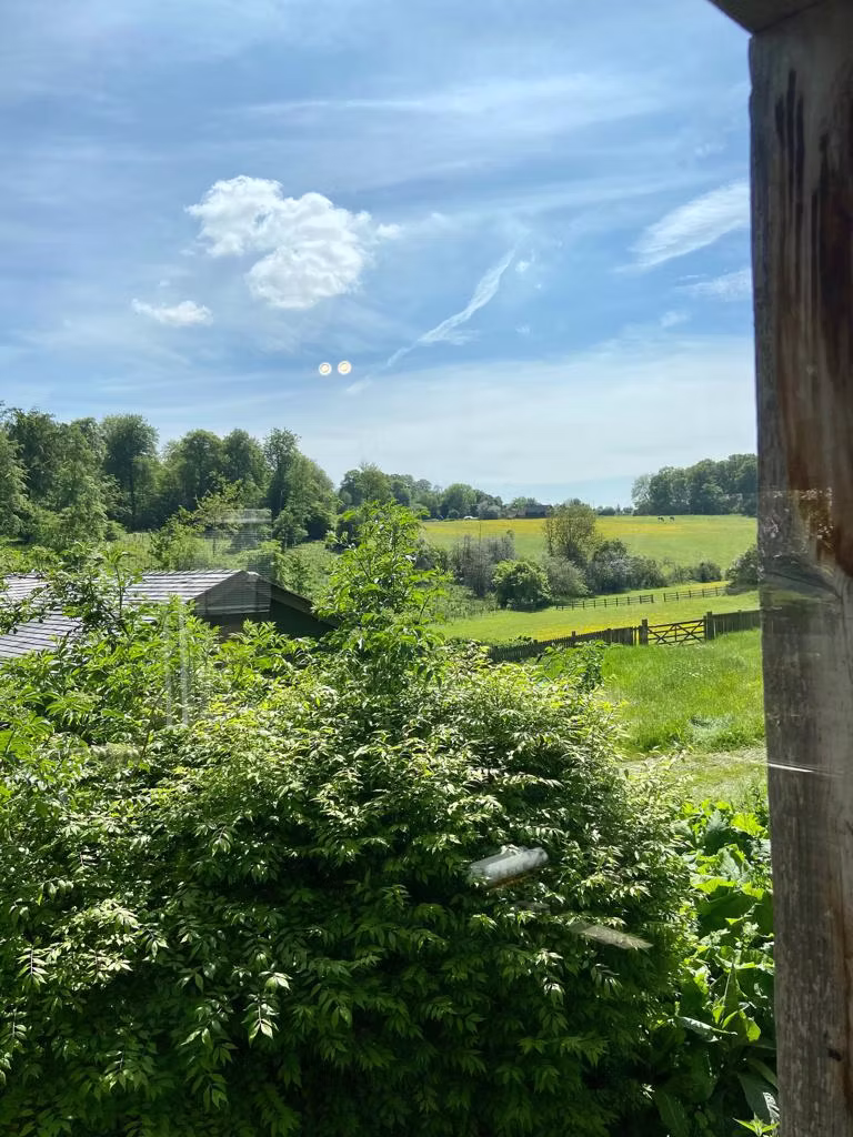 meadow view