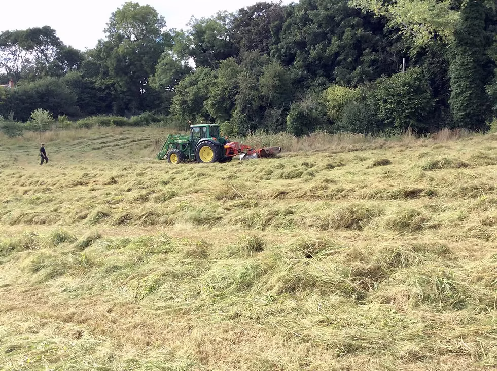 cutting hay